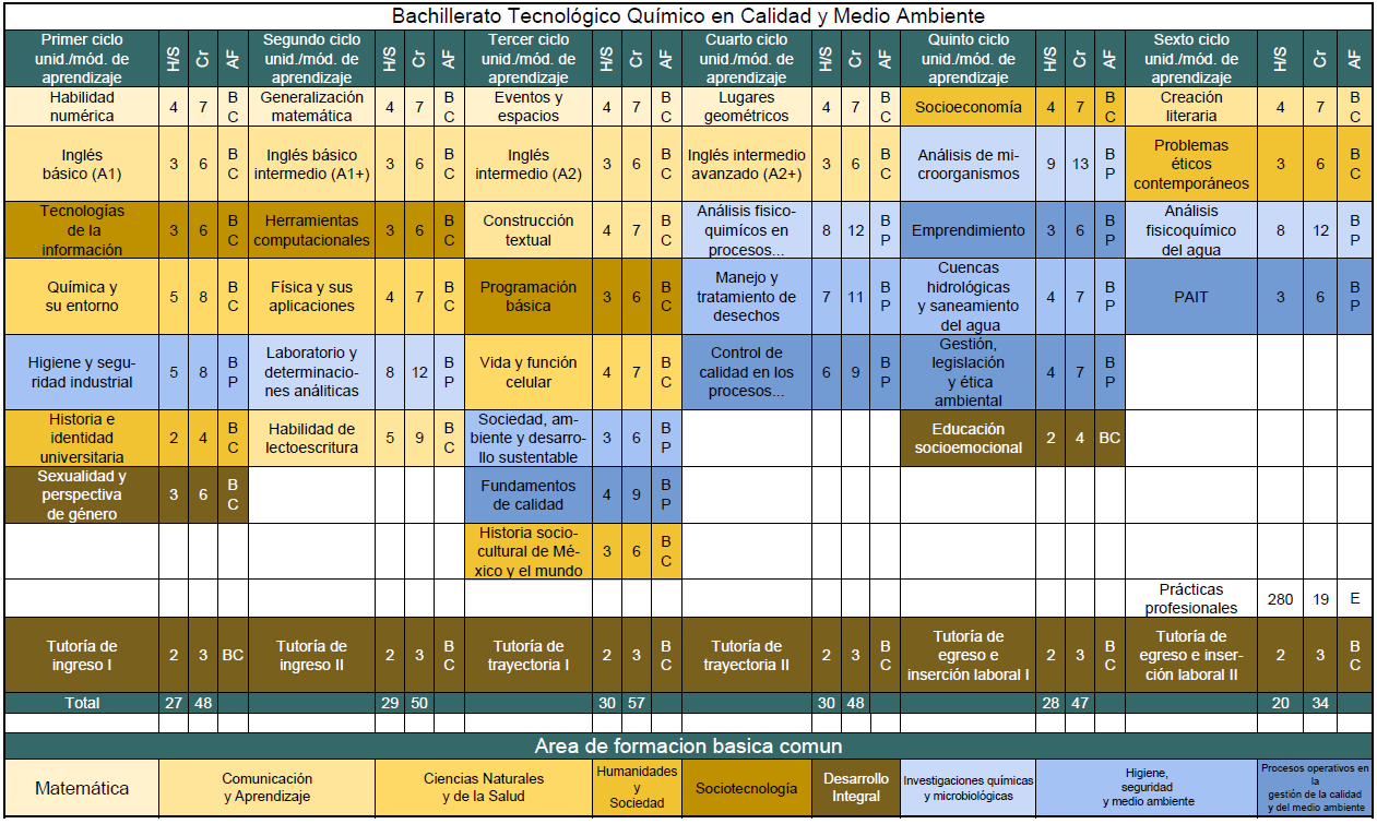 Trayecto Formativo BTQM